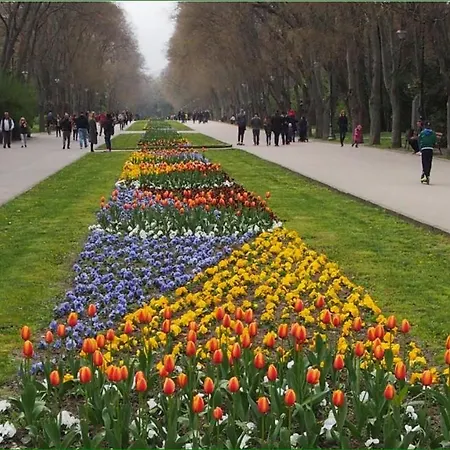 едностаен C паркомясто, перфектен в гр в кв левски очна клиника св петка и умбал св марина Appartamento
